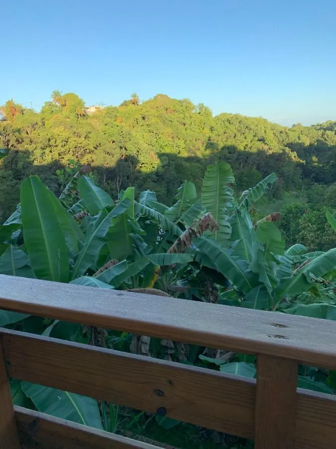 Un P'Tit Coin De Nature Villa Sainte-Anne  Sainte-Anne (Grande-Terre)